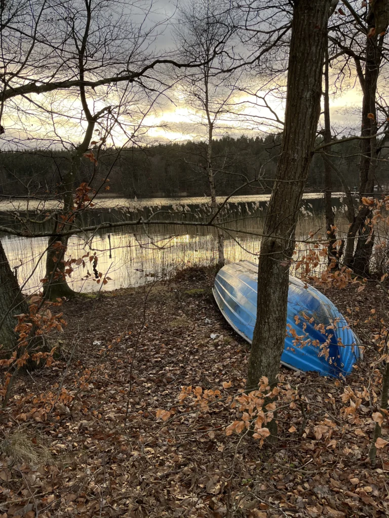 Båd ligger forladt mellem træerne