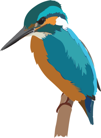isfugl lavet i illustrator