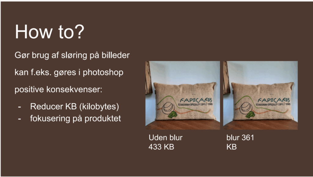 Uddrag fra præsentationen