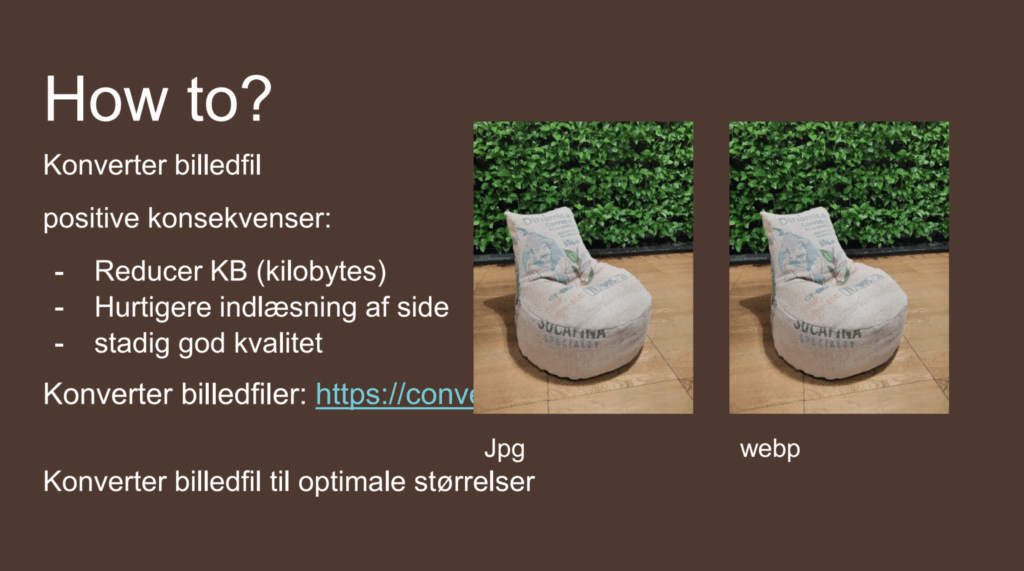 uddrag fra præsentationen